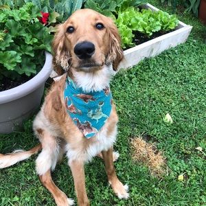Handmade Pet Dog Bandana Dinosaur Tie On With Snaps 2 Sided Reversible Cotton